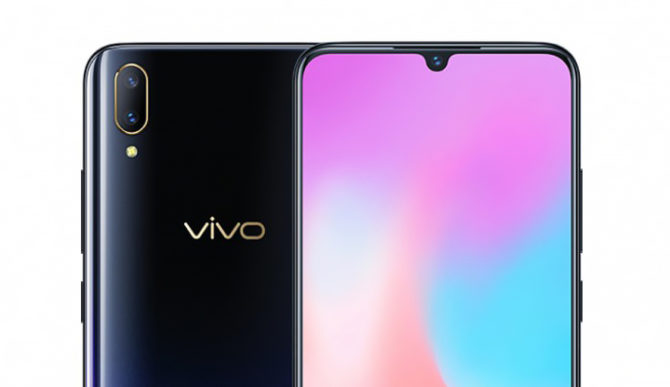 vivo