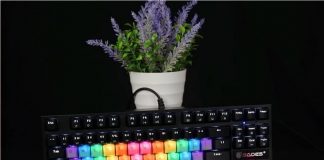 SADES DRAGON WOLF: Keyboard Gaming TKL Terbaru Dari SADES sades dragonwolf keycaps rainbow